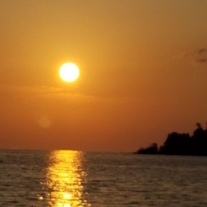 Meet your Posher, Steve